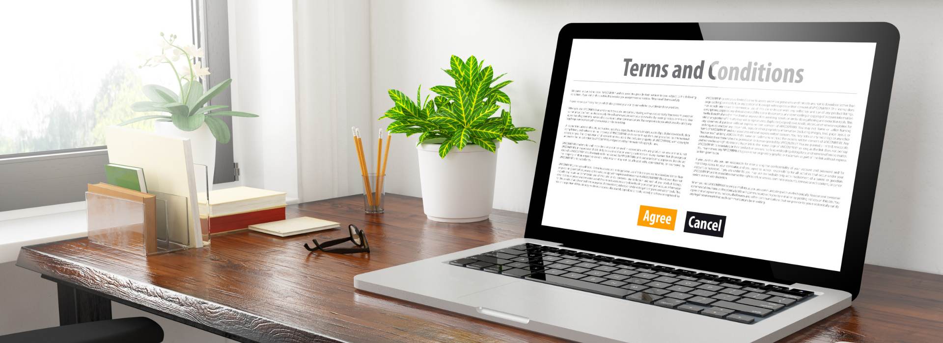 Terms and Conditions